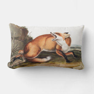 Almofada Lombar Ilustração da Raposa Vermelha Americana (Vulpes Fu