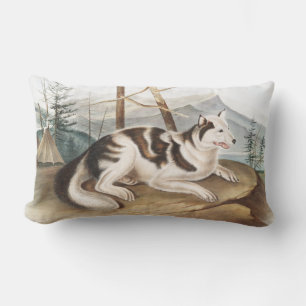 Almofada Lombar Ilustração do Cão Índio lebre (Canis familiaris)
