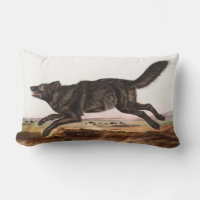 Ilustração do Lobo Negro-Americano (Canis lupus)