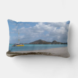 Almofada Lombar Imagens Cênicas Reversíveis no Travesseiro de Antí