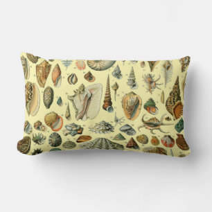 Almofada Lombar Impressão de Conchas Vintage Adolphe Millot Costei