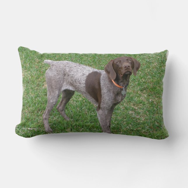 Almofada Lombar indeterminado (Frente)