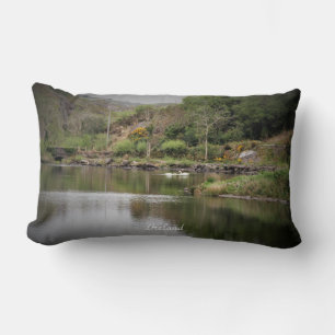 Almofada Lombar Irlanda, County Cork, Lake, Swans, Fotografia