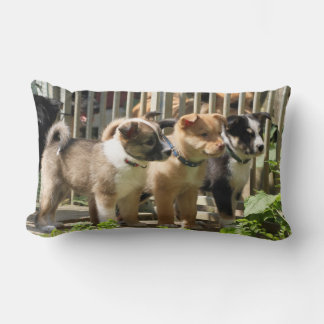 Almofada Lombar Islandhundewelpen