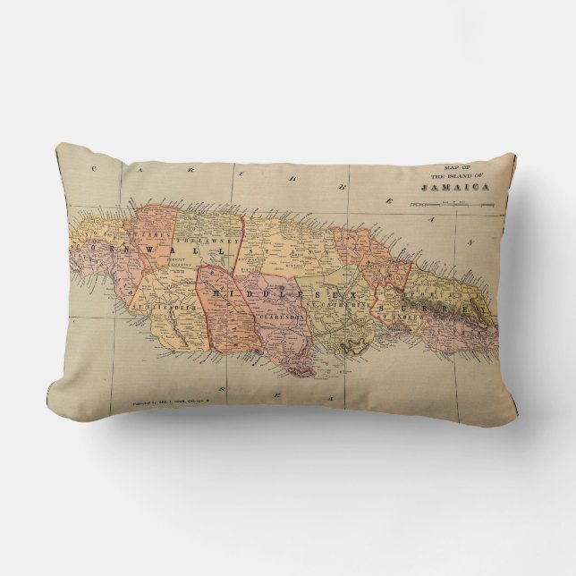 Almofada Lombar Jamaica 1901 (Frente)