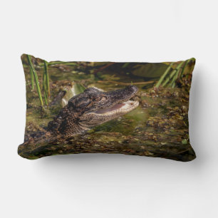 Almofada Lombar Jovem Alligator