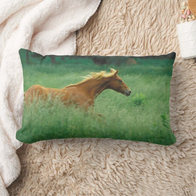 Almofada Lombar Jovem Stallion Atravessa O Prado (Cobertor)