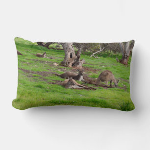 Almofada Lombar Kangaroo Siesta, Lumbar Cushion.