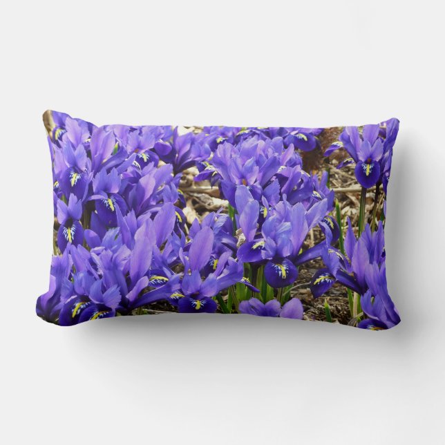 Almofada Lombar Katherine Hodgkin Irrises Primavera Floral Roxo (Frente)