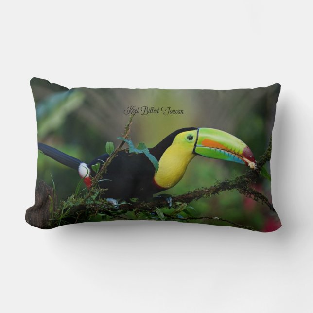 Almofada Lombar Keel Billed Toucan Bird (Frente)