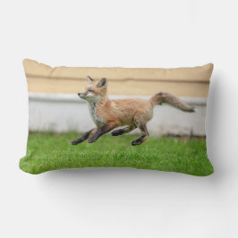 Almofada Lombar Kit de Raposa Vermelha no Vale do Hudson
