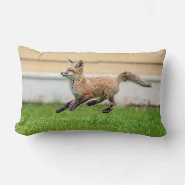 Almofada Lombar Kit de Raposa Vermelha no Vale do Hudson (Frente)