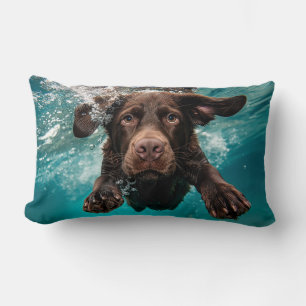 Almofada Lombar Labrador Chocolate Brincalhão Nadando Submerso