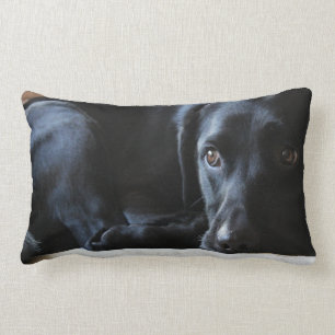Almofada Lombar Labrador preto