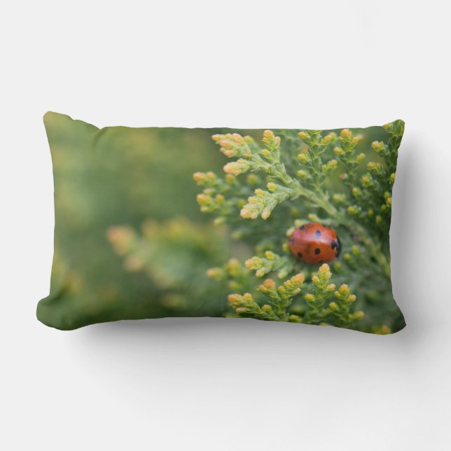 Almofada Lombar Ladybug (Frente)