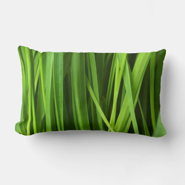 Almofada Lombar Lâminas de gramíneas (Frente)