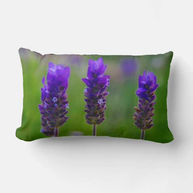 Almofada Lombar lavanda (Frente)