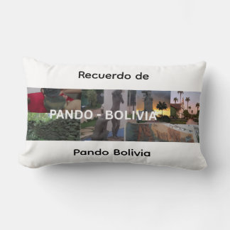 Almofada Lombar Lembrança de Pando Bolívia
