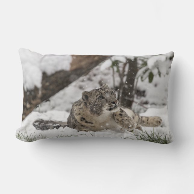 Almofada Lombar Leopardo de neve curioso na neve (Frente)