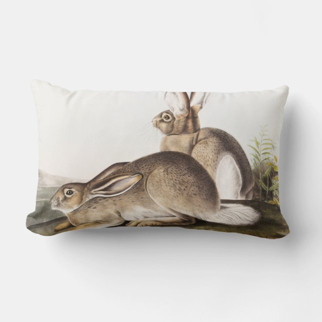 Almofada Lombar Lepus Townsendii (Lepus Townsendii) (Frente)
