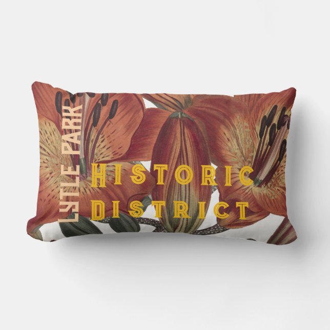 Almofada Lombar Lytle Park Historical Throw Pilloow (Frente)