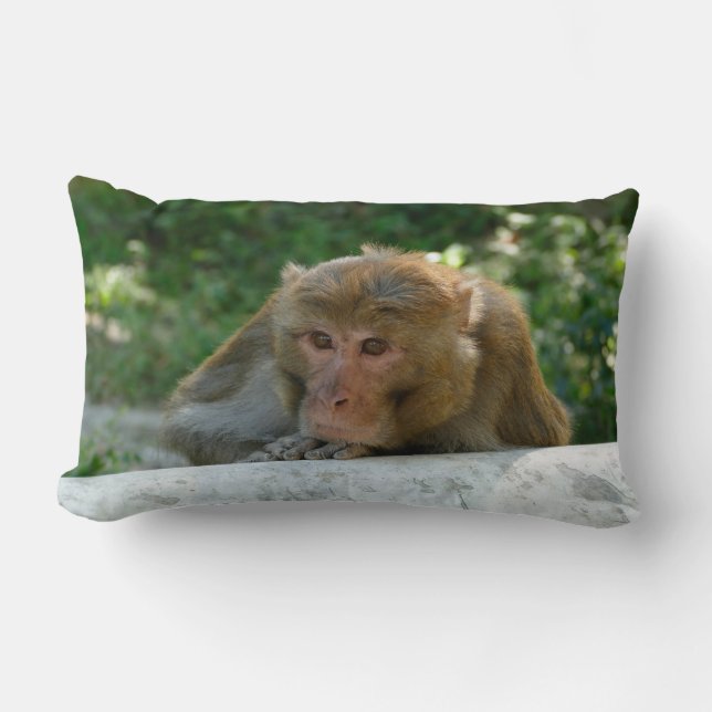 Almofada Lombar Macaco - Avô (Frente)