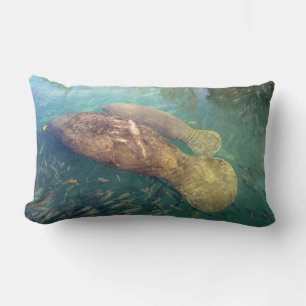 Almofada Lombar Mãe e Travesseiro de Baby Manatee