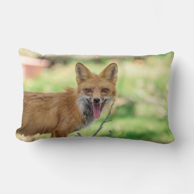 Almofada Lombar Mama Fox no Vale do Hudson (Frente)