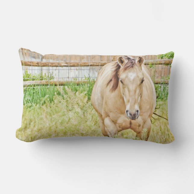 Almofada Lombar Manhã Preguiçosa (Frente)