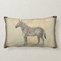 Mapa africano e zebra