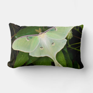 Almofada Lombar Mariposa Lunar em Clematite de Carnaby