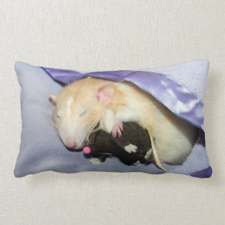 Almofada Lombar Marty Dormindo com o Travesseiro RatTeddy 16x16