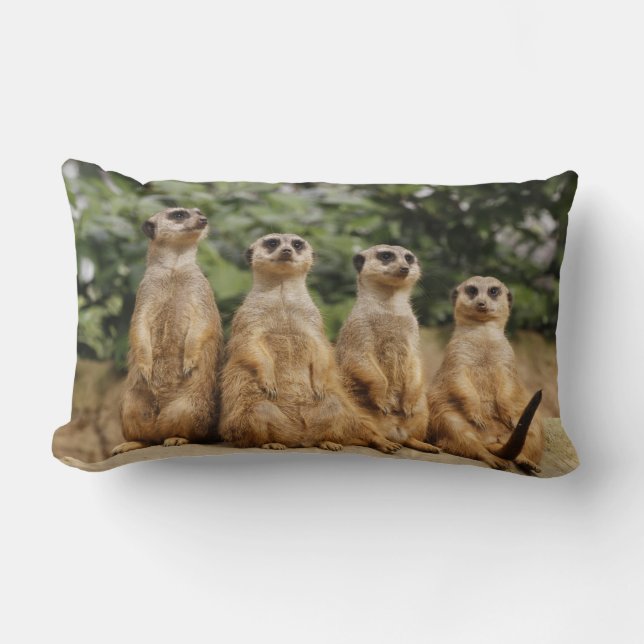Almofada Lombar Meerkat-Quartett 001 (Frente)