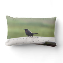 melro Vermelho-voado