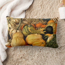 Almofada Lombar Mini Pumpkins E Gourds Foto De Queda