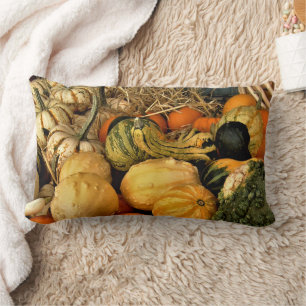 Almofada Lombar Mini Pumpkins E Gourds Foto De Queda
