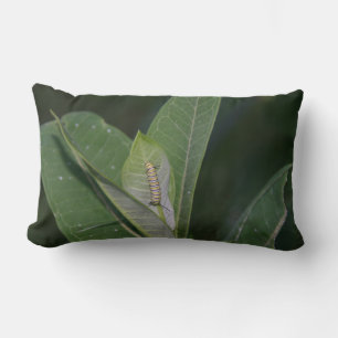 Almofada Lombar Monarch Caterpillow