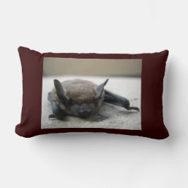 Almofada Lombar Morcego-marrom-pequeno (Myotis lucifugus)