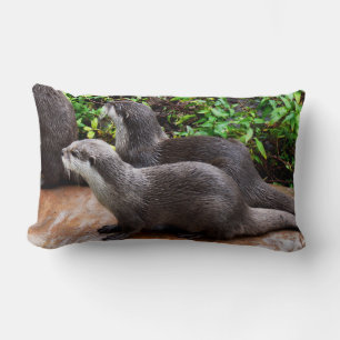 Almofada Lombar Muito Bonito, Lontras, Lounge Cushion.