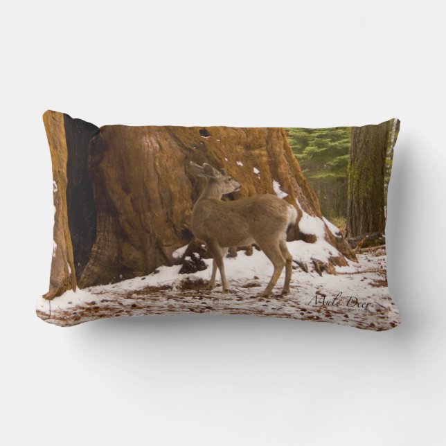 Almofada Lombar Mule Deer (Frente)