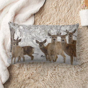 Almofada Lombar Mule Deer Wyoming