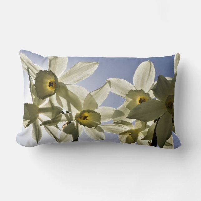 Almofada Lombar Narcissen die bloeien met een lente blauwe lucht  (Frente)