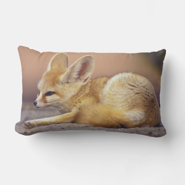 Almofada Lombar Norte da África. Feneco Fennecus zerda) (Frente)