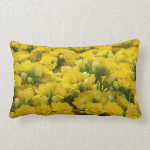 Almofada Lombar O amarelo vibrante floresce a fotografia bonita da