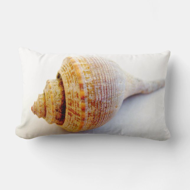 Almofada Lombar O Conch Shell descansa (Frente)