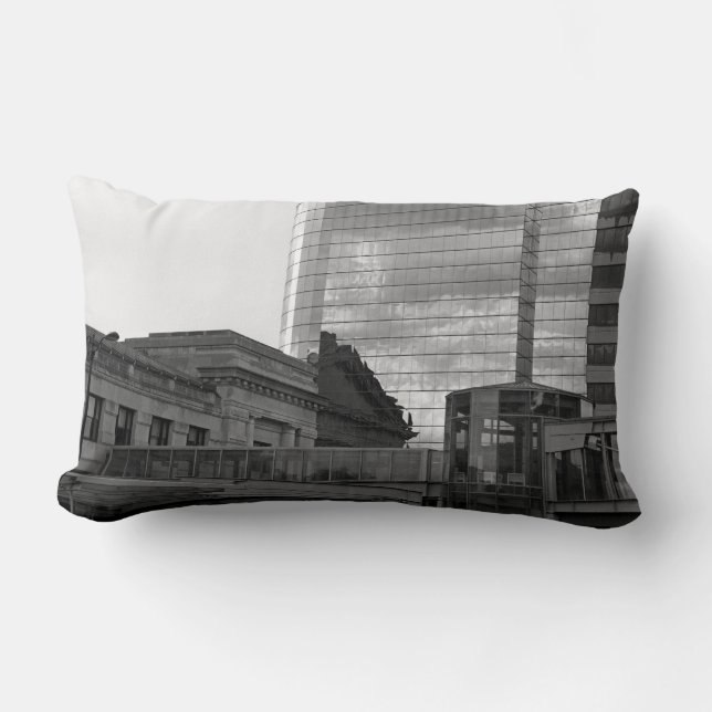 Almofada Lombar O link (Frente)