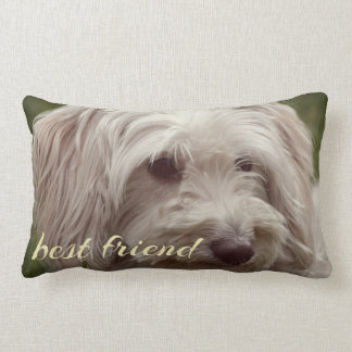 Almofada Lombar O melhor travesseiro decorativo personalizado de s