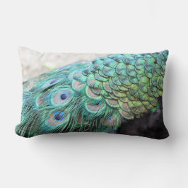 Almofada Lombar O pavão elegante empluma-se o travesseiro