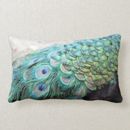 Almofada Lombar O pavão elegante empluma-se o travesseiro