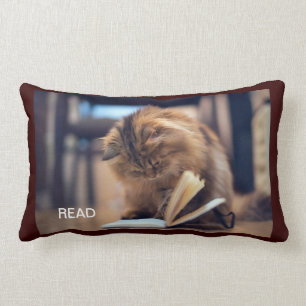Almofada Lombar O travesseiro decorativo estudioso do gato
